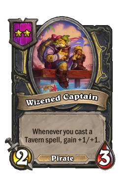 Wizened Captain