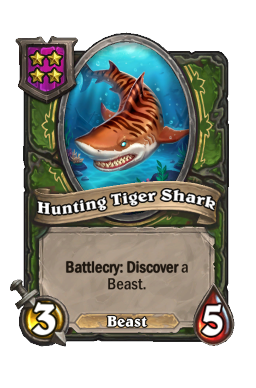 Hunting Tiger Shark