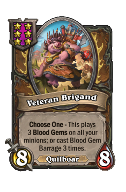 Veteran Brigand