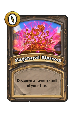 Mageroyal Blossom
