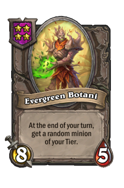 Evergreen Botani