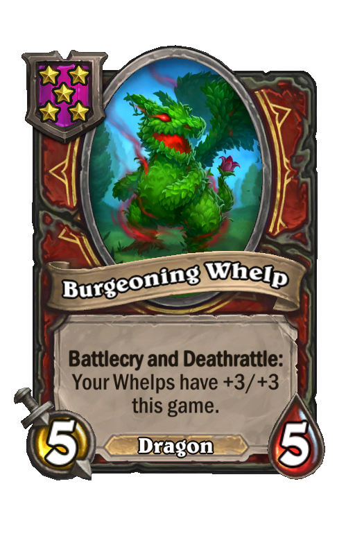 Burgeoning Whelp