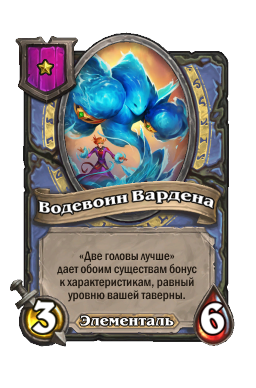 Водевоин Вардена
