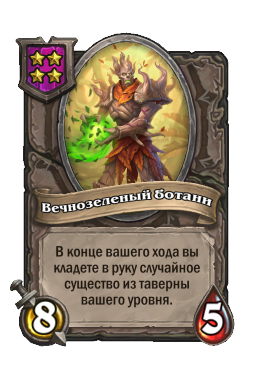 Вечнозеленый ботани
