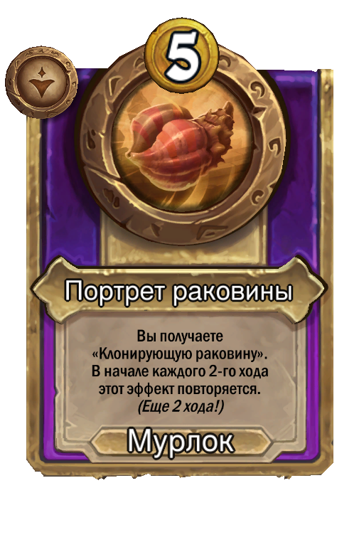 Портрет раковины