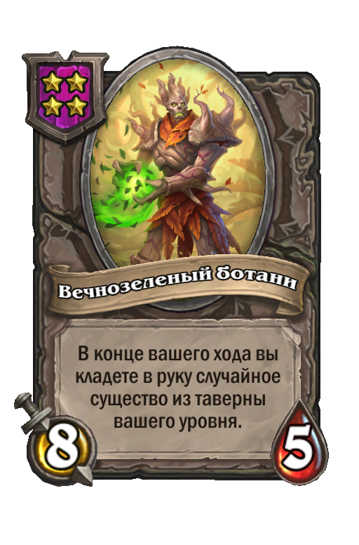 Вечнозеленый ботани