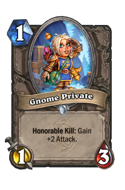 Gnome Private