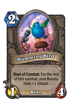 Humming Bird
