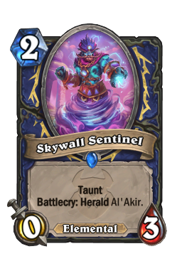 Skywall Sentinel