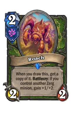 Roach