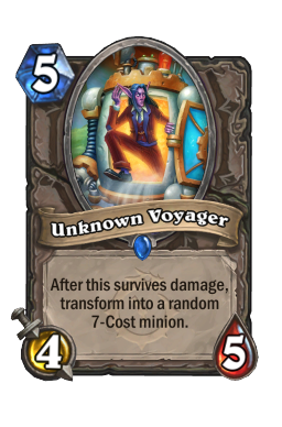 Unknown Voyager