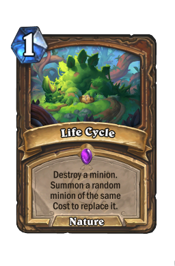 Life Cycle