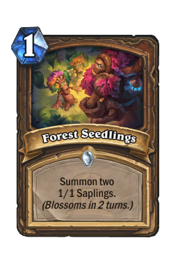 Forest Seedlings