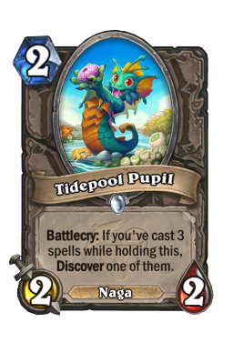 Tidepool Pupil