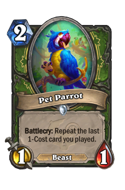 Pet Parrot