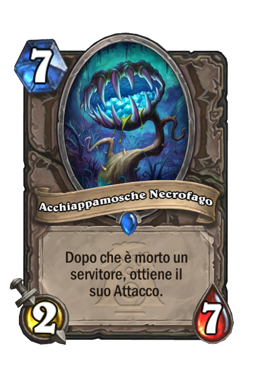 Acchiappamosche Necrofago