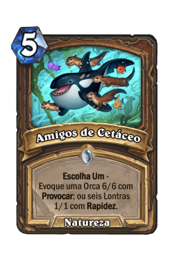 Amigos de Cetáceo