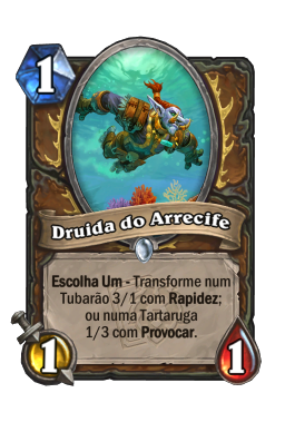 Druida do Arrecife