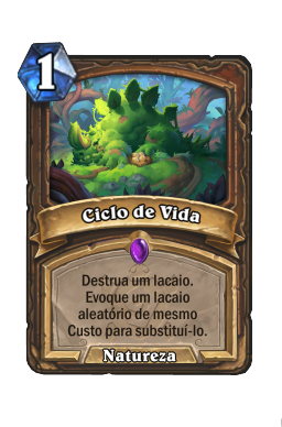 Ciclo de Vida
