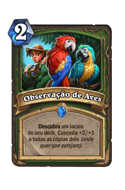 Observação de Aves