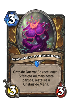 Açoitadeira Contaminada
