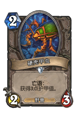 硬壳甲虫