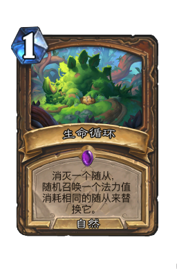 生命循环