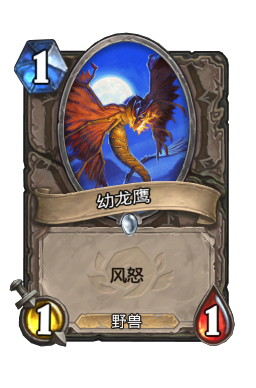 幼龙鹰